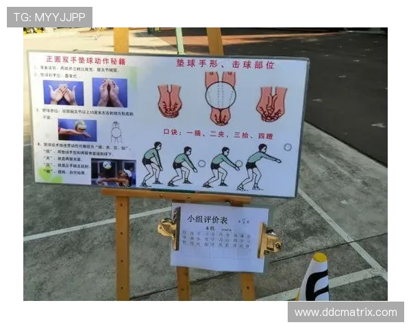 全面提升排球技术的实用教学视频 从基础到进阶技巧一网打尽