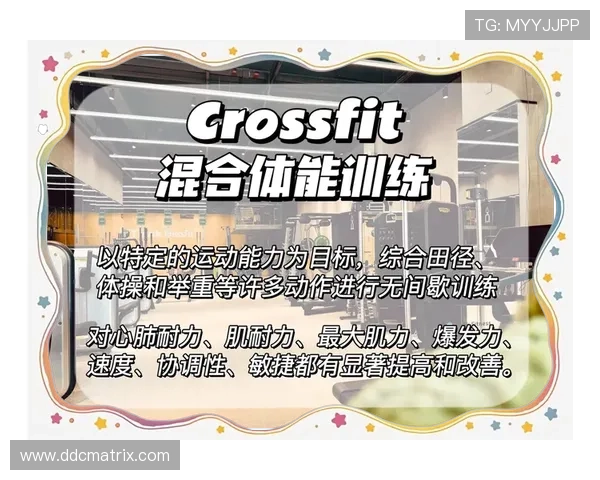 全面提升体能与耐力的科学铁人三项系统化训练策略