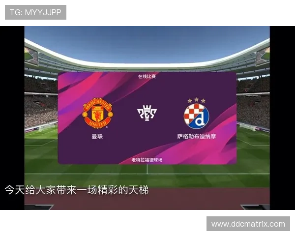 畅享激情排球赛事直播平台随时随地实时观看精彩对决