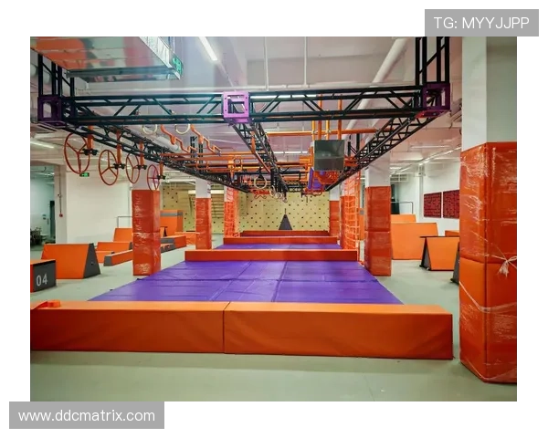 以攀岩体能训练为核心的力量耐力灵活协调系统提升实战应用设计